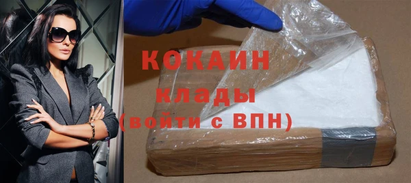 шишки Беломорск