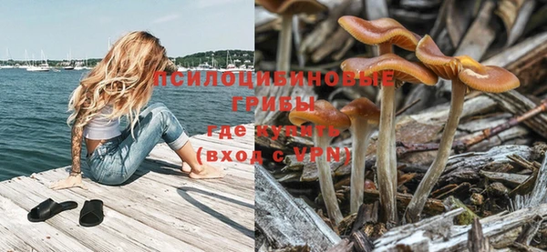 меф Белокуриха