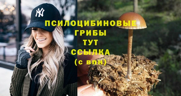 героин Богданович