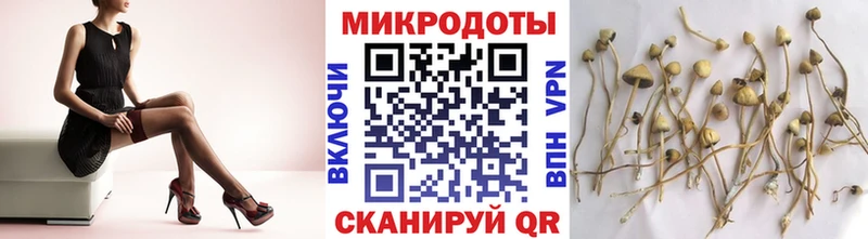 Псилоцибиновые грибы Psilocybine cubensis  где купить наркотик  Сретенск 
